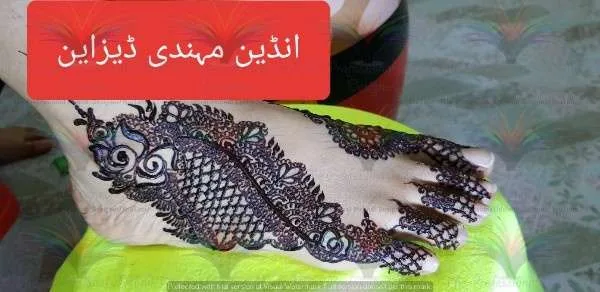 Foot Indian Picture Images of Mehndi Designs