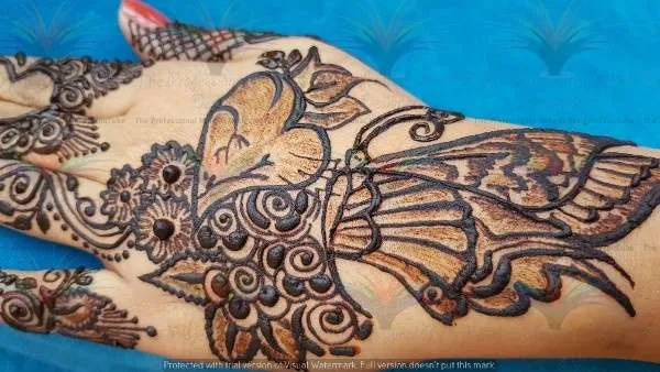butterfly designs of mehndi with cone