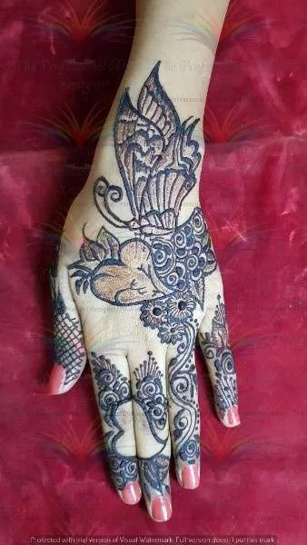butterfly designs of mehndi with cone