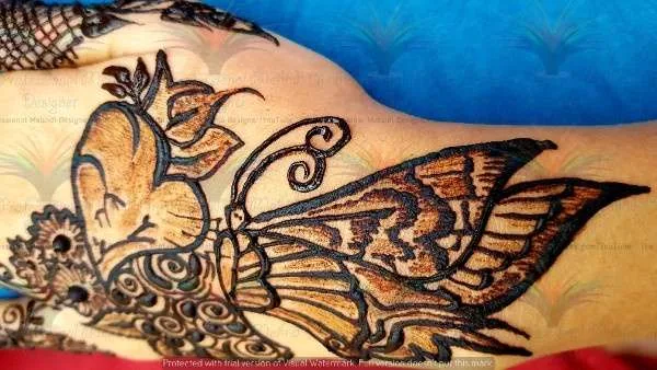 butterfly 🦋 with cone on hand